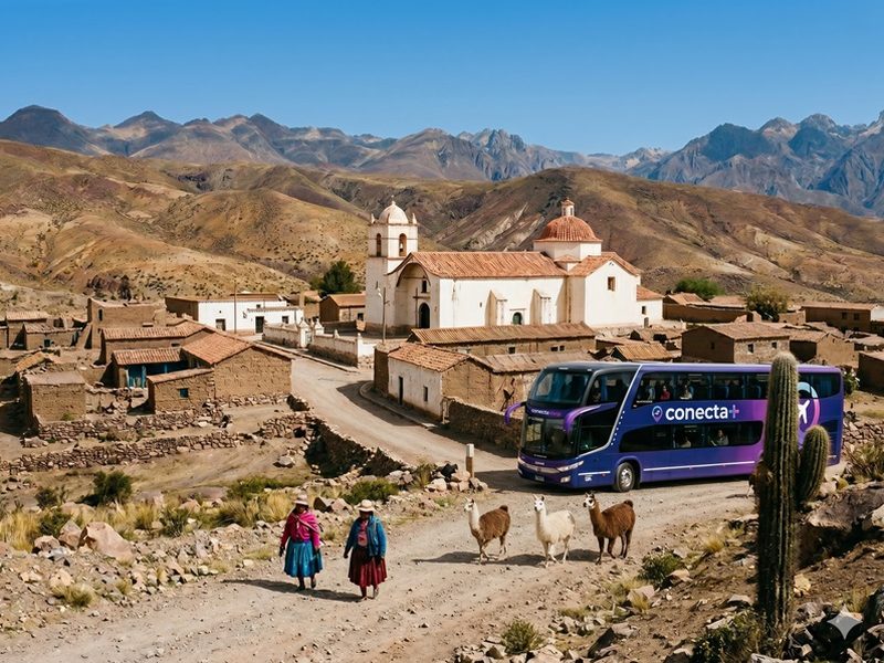 Jujuy con Casabindo